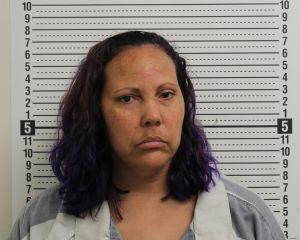 Andrea Holt Arrest Mugshot