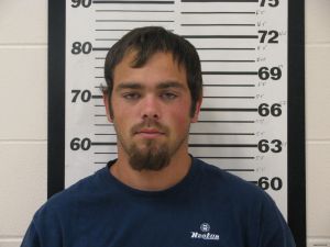 Andrew Hess Ii Arrest