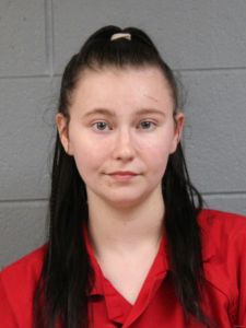 Annika Camelin Arrest Mugshot