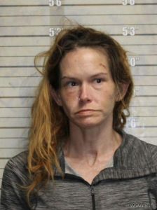 Ashley Echler Arrest Mugshot