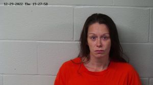 Ashley Mason Arrest Mugshot