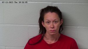 Ashley Mason Arrest Mugshot