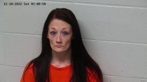 Ashley Rohrer Arrest Mugshot