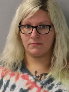 Ashlie Haines Arrest Mugshot