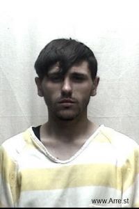 Austin Davis Arrest Mugshot