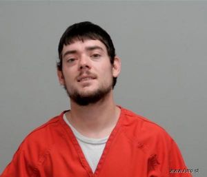 Austin Walker Arrest Mugshot