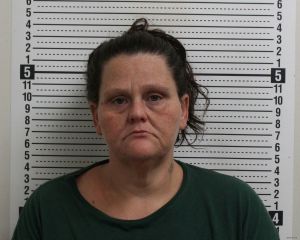 Billie Hopkins Arrest Mugshot