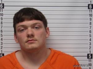 Blake Davis Arrest Mugshot