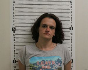 Brandi Hardin Arrest