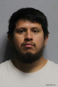 Brandon Reyes-palomares Arrest