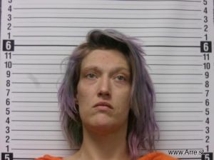 Brandy Fay Arrest Mugshot