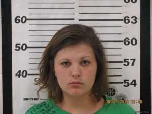 Brenda Steinmetz Arrest Mugshot