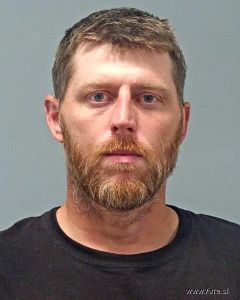 Brian Francis Arrest