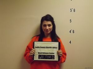 Brianna Wolford Arrest