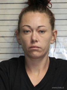 Bridgette Hamblin Arrest Mugshot