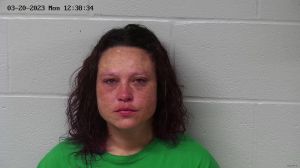 Brittany Gorman Arrest Mugshot