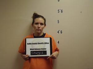 Brittany Sturgil Arrest Mugshot