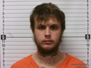 Brock Davis Arrest Mugshot