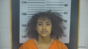 Cayden Reiber Arrest Mugshot