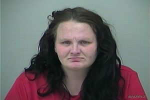 Cheyenne Brister  Arrest