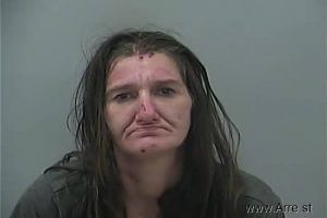 Colleen Fisher Arrest Mugshot