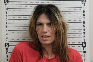 Carla Bailes Arrest