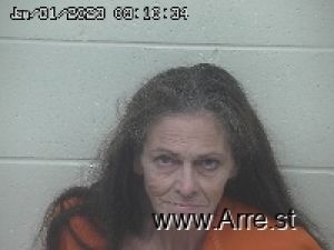 Carol Boehm Arrest Mugshot
