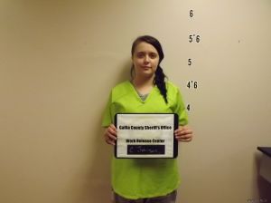 Chelsea Johnson Arrest Mugshot