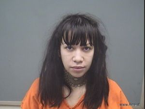 Chelsea Perkins Arrest