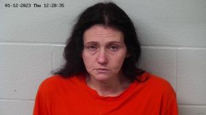 Cindy Mabe Arrest Mugshot