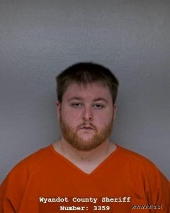 Dalton Fox Arrest Mugshot