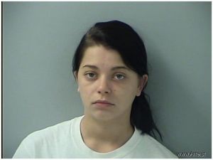 Danielle Lucarelli Arrest Mugshot