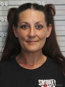 Danielle Reeves Arrest Mugshot