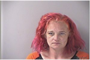 Deborah Pickron Arrest Mugshot