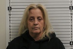 Debra Diehl Arrest