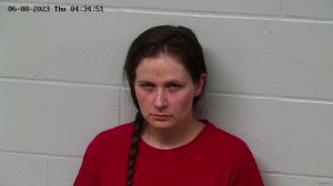 Deeanna Taylor Arrest Mugshot