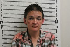 Denise Renchen Arrest Mugshot