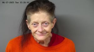 Deva Searles Arrest Mugshot