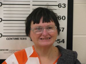Diana Collins Arrest Mugshot