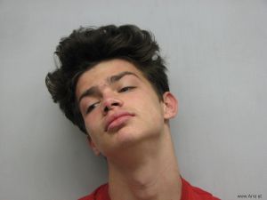 Dillon Callihan Arrest Mugshot