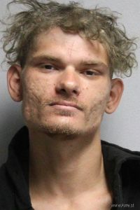 Dillon Hammons Arrest Mugshot