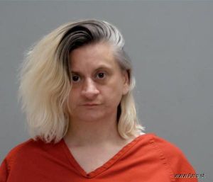 Donna Colburn Arrest Mugshot