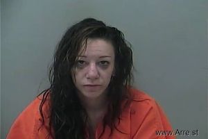 Erin Elkins Arrest Mugshot