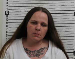 Elizabeth Weinrich Arrest Mugshot