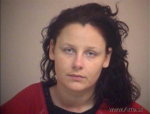 Elyse Craig Arrest Mugshot