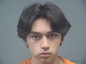 Emilien Boyer Arrest Mugshot