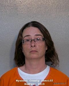 Erica Geiser Arrest Mugshot