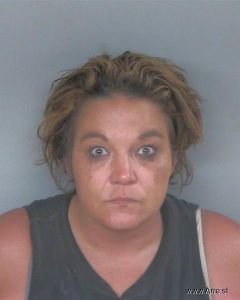 Erica Mceldowney Arrest Mugshot