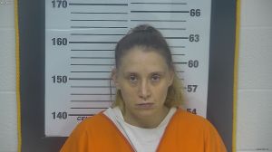 Erin Swesey Arrest Mugshot