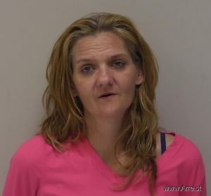 Erin Wilcox Arrest Mugshot